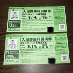 9月14日　PayPayドーム　ソフトバンク対西武　18時〜