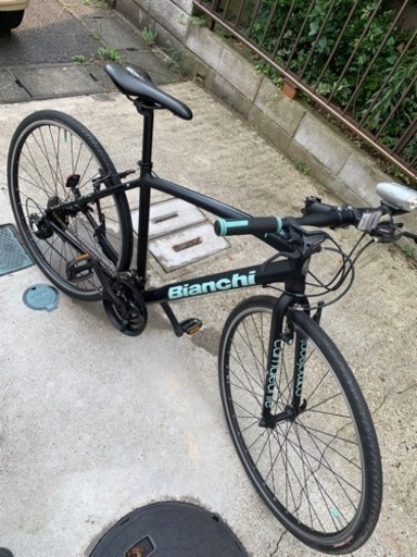 Bianchi  camaleonte 1. 2018年