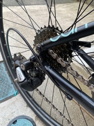 Bianchi camaleonte 1. 2018年