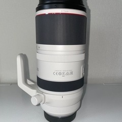 Canon RF100-500mm F4.5-7.1 L IS USM