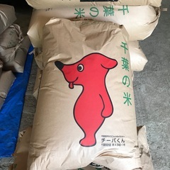 R4年度　新米コシヒカリ　玄米　30kg/袋　