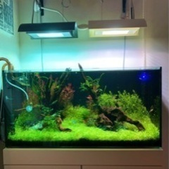90センチ水槽セット　