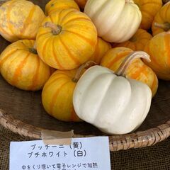 え！野菜がなくなる？