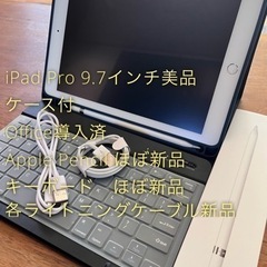 【ネット決済・配送可】iPad Pro 256GB Office 美品