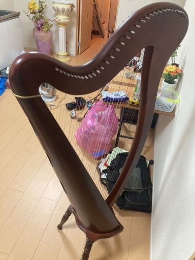 直接引取限定】AOYAMA HARP 青山ハープ2本弦切れ | complexesantalucia.com