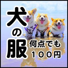 【中古～新品】小型犬向きの洋服