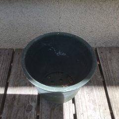 植木鉢　外径15.5(cm) 高さ14(cm)