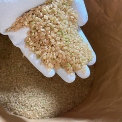 【ネット決済】令和4年度　新米🌾なつほのか🌾山香米！玄米30キロ