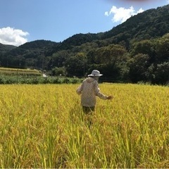 日本一の里山で稲刈り体験！ - イベント
