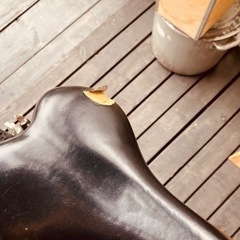 【引き取り限定】電動アシスト自転車【引渡決定】