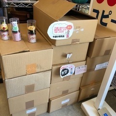 起き上がり小法師 激安販売☺️ 種類はまだあります！熊本リサイク...