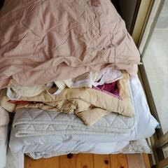 敷き、掛け布団、綿毛布など