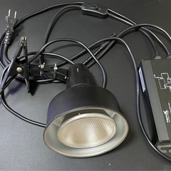 ソラリウム　50w 爬虫類