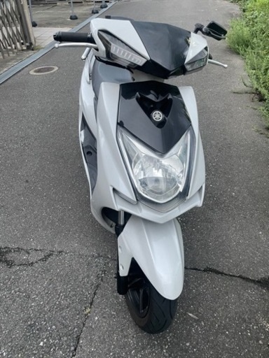 シグナス　4型