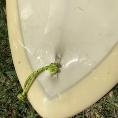 カツカワナミ　サーフボード　ロングボード　ファンボード　katsu Kawanami