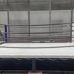 【ネット決済】ボクシングリング　キックボクシングリング