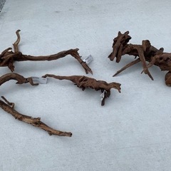 【商談中】⭐️💥値下げしました‼️💥⭐️水槽用品🐠一式