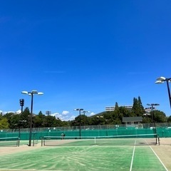 10月2日(日)尼崎市記念公園でテニスしませんか？の画像