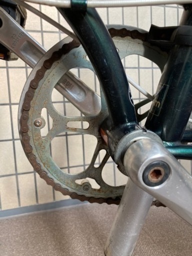 ダホン ボードウォーク 20型グリーン