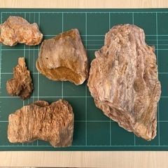 アクアリウム  木紋石