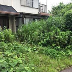 ボロボロの空き家やジャングルの空き地、雑木林を無料管理します − 神奈川県