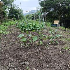 呉市広で貸し農園