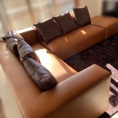 カウチソファ、クッション付き