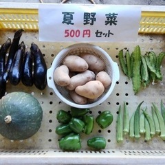 【週末限定】夏野菜セット　