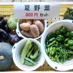 【週末限定】夏野菜セット　大