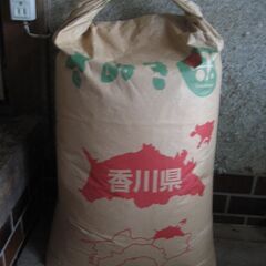 新米　コシヒカリ　30kg　減農薬