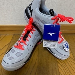 ☆★新品★Mizuno★カーペット(室内コート)用★テニスシュー...