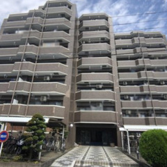 🔥入居総0万円🔥3LDK🔥東武東上線 / 成増駅 徒歩25分✨和...