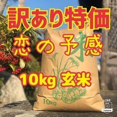 【訳あり特価】💮令和3年度米 『❤️恋の予感』🌾玄米10kg 🍁...