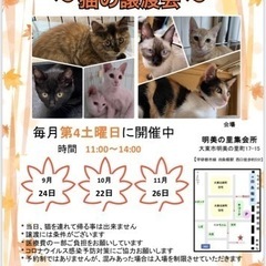 9月の四条畷駅　猫の譲渡会