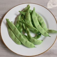 無農薬　モロッコインゲン豆　旬  採れたて‼︎  秋野菜