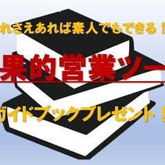 効果的な営業ツール付きのコンサルト！即できる！誰でもできる！のガ...