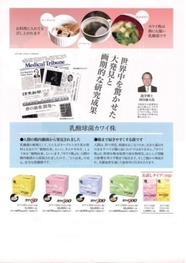 カワイ乳酸菌 KAWAI乳酸菌 乳酸球菌 カワイ株 カワイ乳酸菌