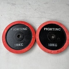 ファイチング10kg x2枚セット