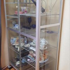 ピカコーポレーション温室 ショーケース