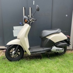 色オシャレ　HONDAホンダ　トゥデイ　原付50cc