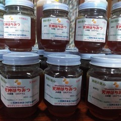 大変貴重な「日本ミツバチのハチミツ」を試してみませんか？