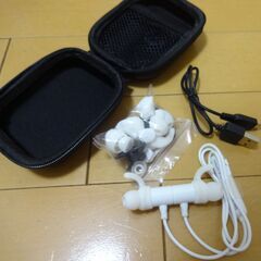 ★未使用★SoundPEATS (サウンドピーツ) Q30 Pl...