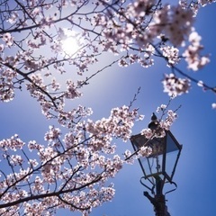 写真仲間募集！！ - 松山市