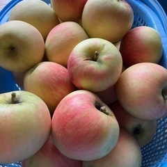 果物　リンゴ　千秋