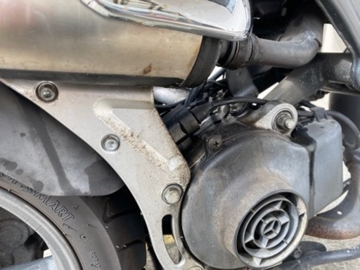 ストリートマジック50【記載は9月まで】値下げ