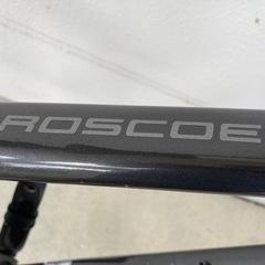 Trek roscoe 7 2020　マウンテンバイク MTB ハードテール