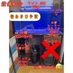 90 水槽 セット 海水魚