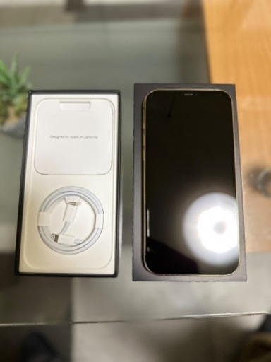 iPhone 12 Pro Max 256GB (ゴールド) SIMフリー - その他