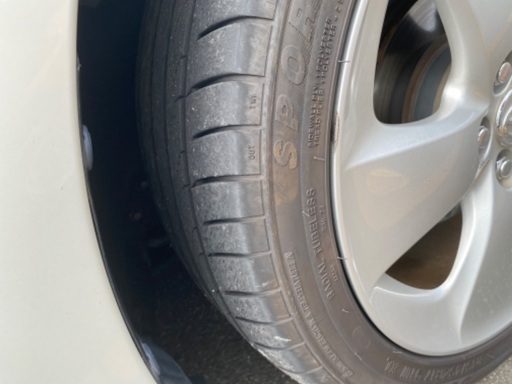 チレコドンルブロベノーサス現地球