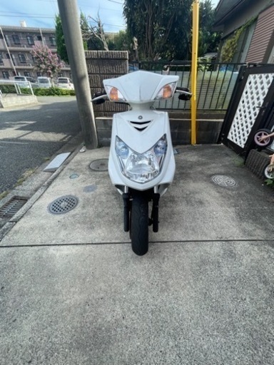 シグナス2型 se44j